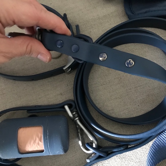 Wild One 🐶 harness walk set and collar - Picture 5 of 6